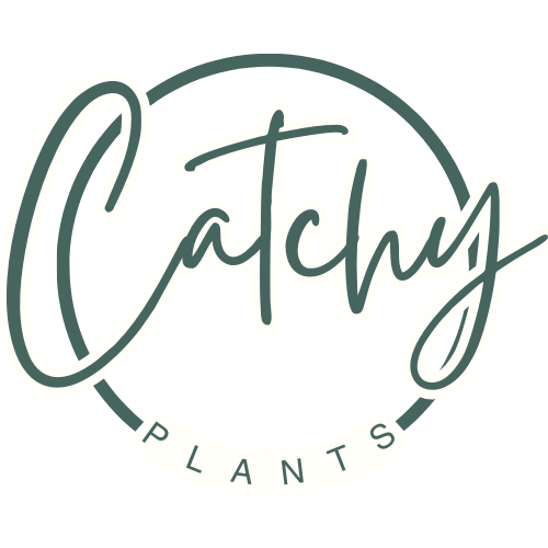 CatchyPlants | Statement groen voor elke ruimte