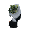Vliesdoek voor vorstbescherming - Op rol - Per 1 meter - 240cm breed